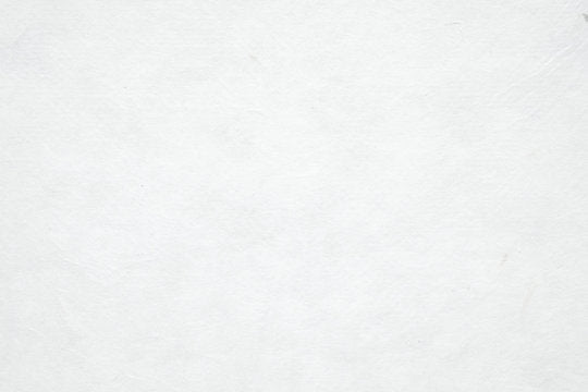 Fake Phony Fraud LLC